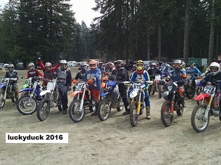 View more about Lucky Duck 2016